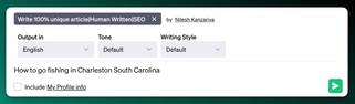 Screenshot of AIPRM prompt for an optimized blog post.

Human Written | Plagiarism Free | SEO Optimized Long-Form Article With Proper Outline [Upgraded Version]

[Enter Keyword or Title Here]

